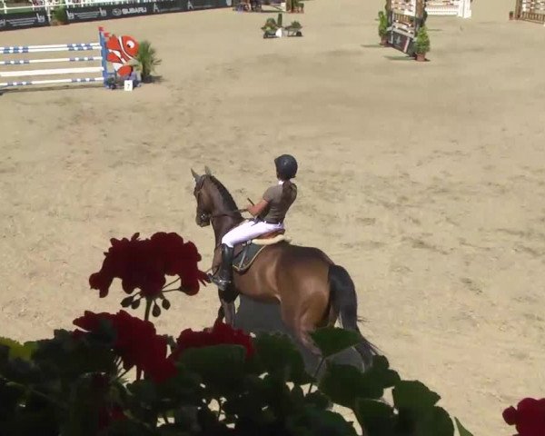 Albführen Country Classics 2013