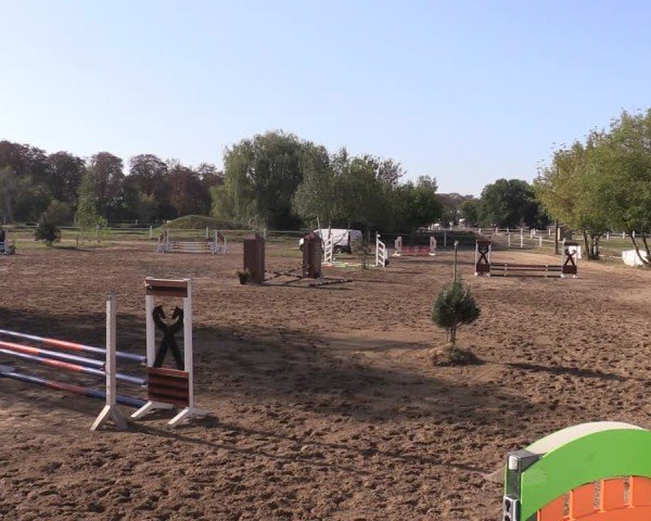 Reitturnier Schenkenhorst 2024