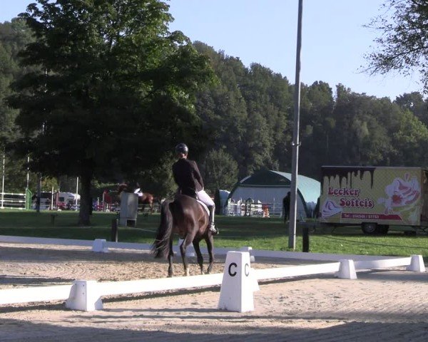 Reitturnier Seelitz 2024