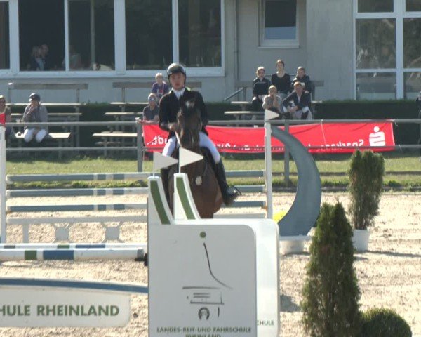 Reitturnier Langenfeld - Gut Langfort 2024