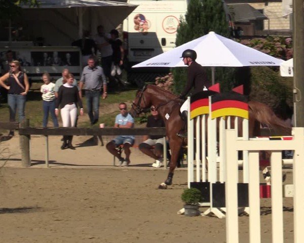 Reitturnier Buchenhof-Ibbenbüren 2024