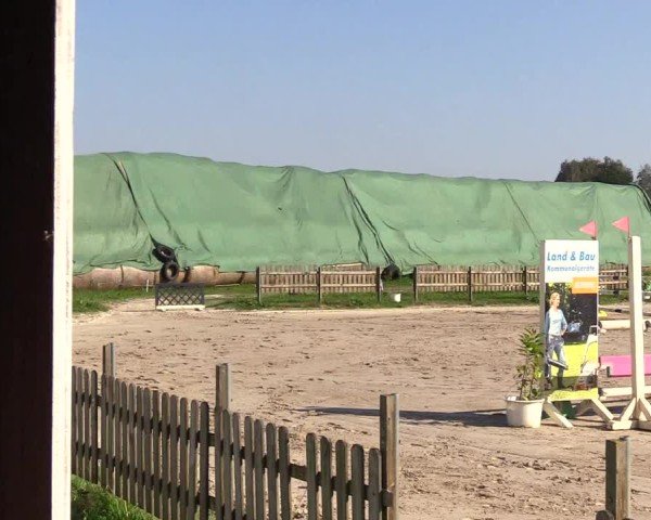 Reitturnier Breiholz "Am Moltkestein" 2024