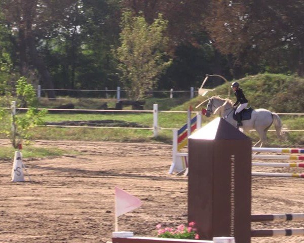 Reitturnier Schenkenhorst 2024