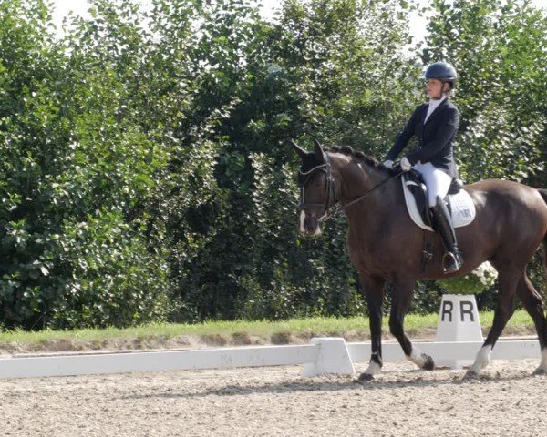 Reitturnier Rodgau-Weiskirchen 2024