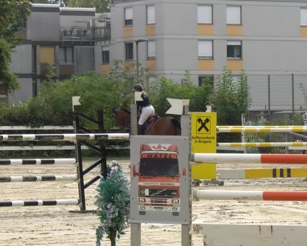 Reitturnier Bregenz 2024