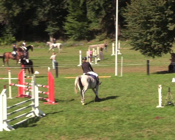 Reitturnier Seelitz 2024
