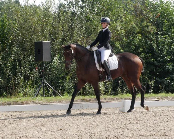 Reitturnier Rodgau-Weiskirchen 2024