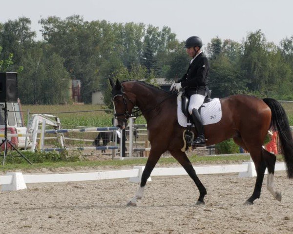 Reitturnier Rodgau-Weiskirchen 2024