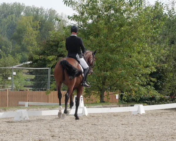 Reitturnier Rodgau-Weiskirchen 2024