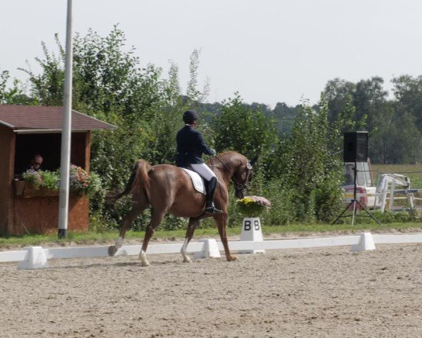 Reitturnier Rodgau-Weiskirchen 2024