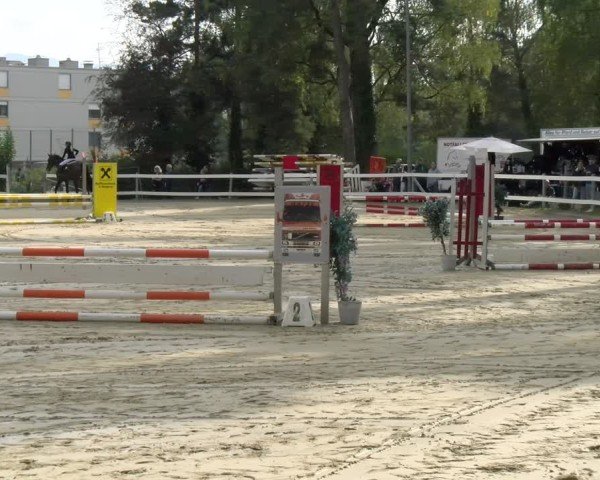 Reitturnier Bregenz 2024