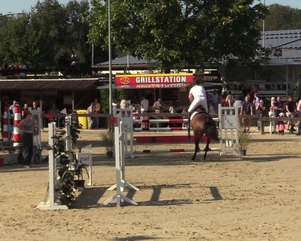 Reitturnier Buchenhof-Ibbenbüren 2024