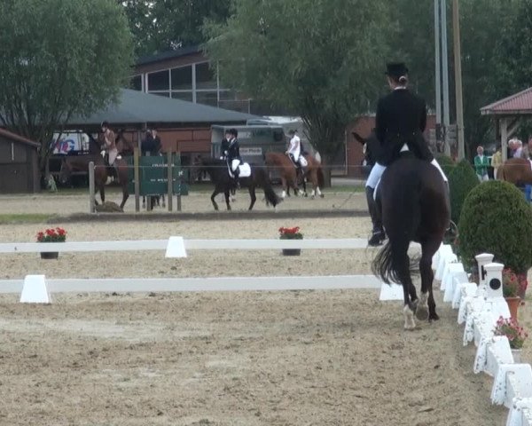 Reit- und Springturnier Münster-Roxel 2013