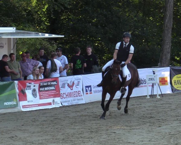 Reitturnier Buchenhof-Ibbenbüren 2024