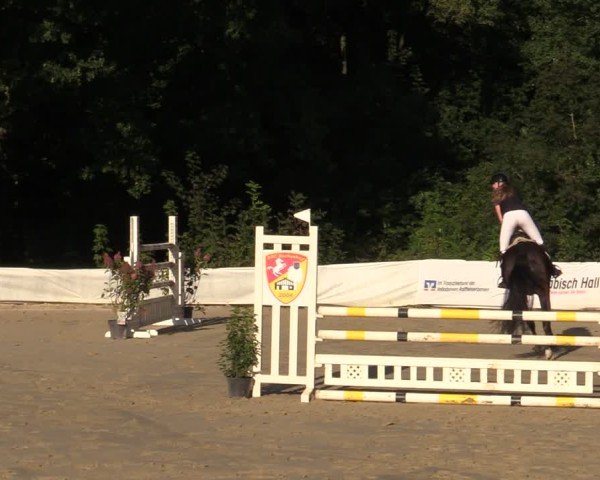 Reitturnier Buchenhof-Ibbenbüren 2024