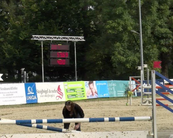 Reitturnier Bregenz 2024