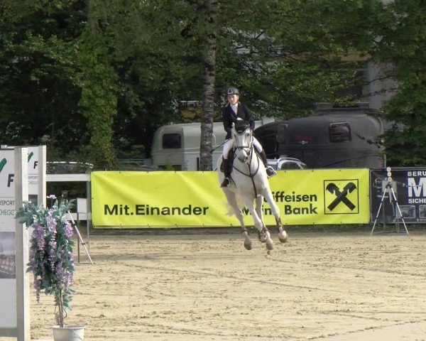 Reitturnier Bregenz 2024