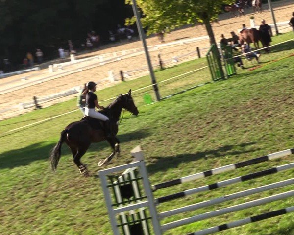 Reitturnier Seelitz 2024