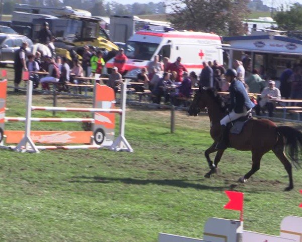 Reitturnier Crivitz 2024