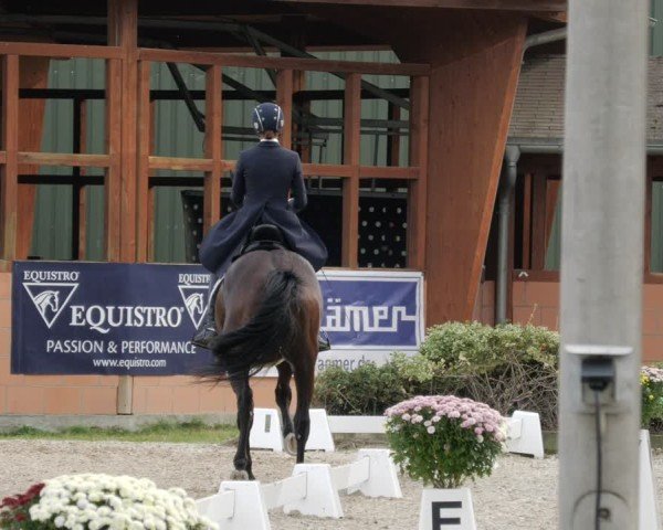 Reitturnier Rodgau-Weiskirchen 2024