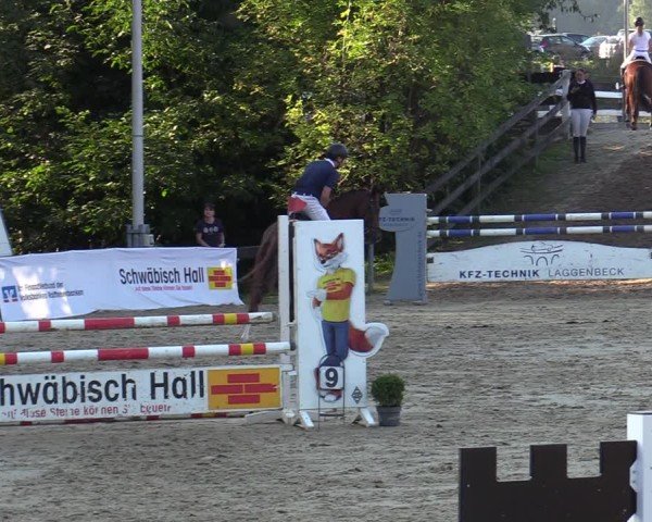 Reitturnier Buchenhof-Ibbenbüren 2024