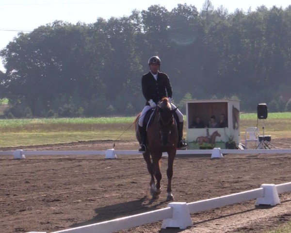 Reitturnier Crivitz 2024