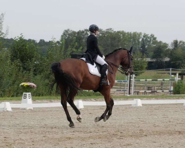 Reitturnier Rodgau-Weiskirchen 2024