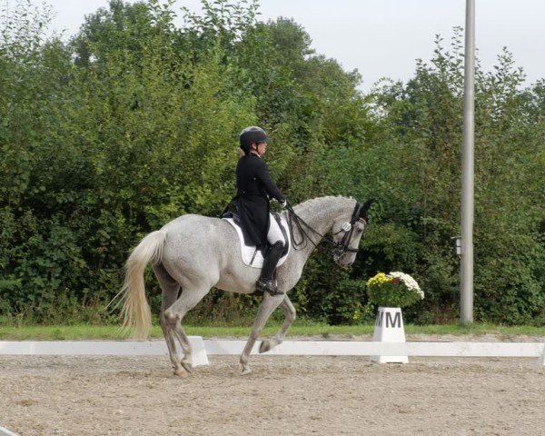 Reitturnier Rodgau-Weiskirchen 2024