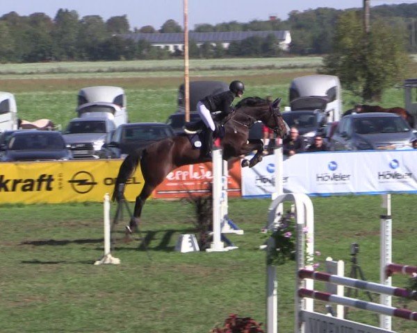 Reitturnier Crivitz 2024