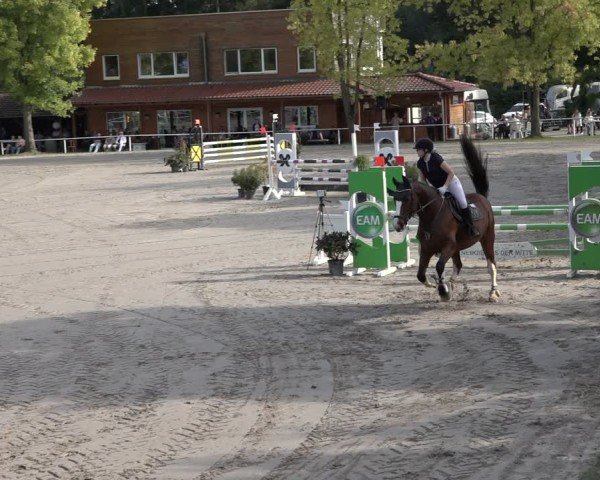Reitturnier Richelsdorf 2024