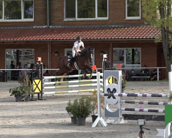 Reitturnier Richelsdorf 2024