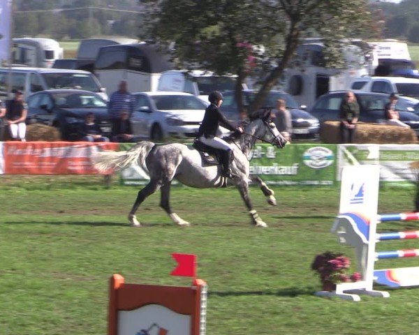 Reitturnier Crivitz 2024