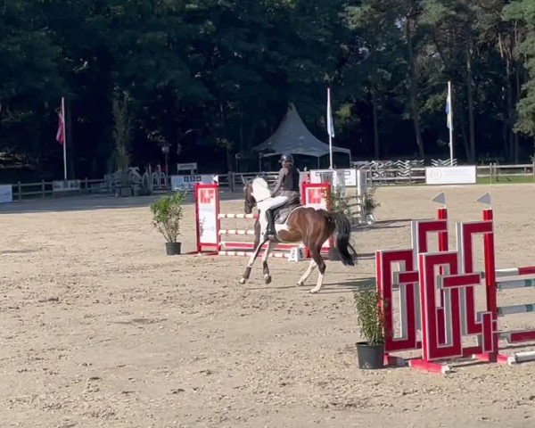 Video di Quick Con Quality CW