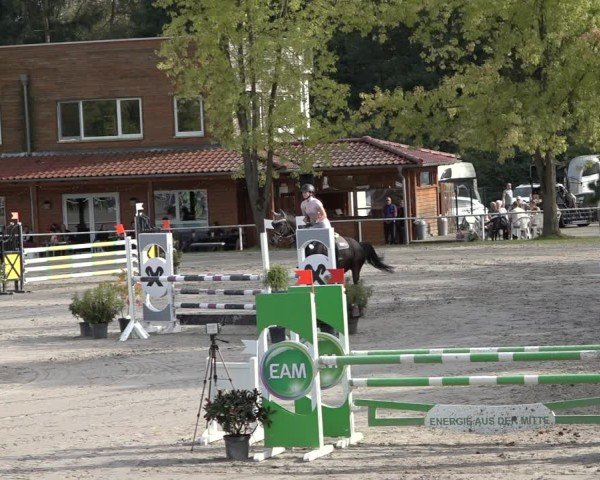 Reitturnier Richelsdorf 2024
