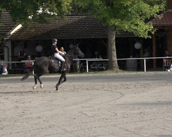Reitturnier Richelsdorf 2024