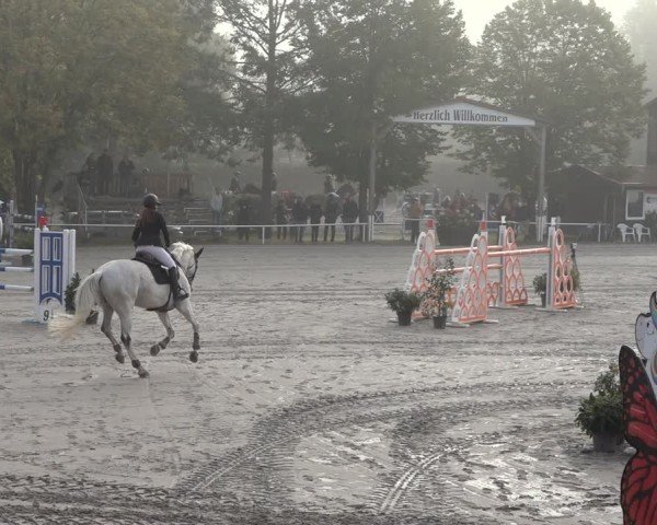Reitturnier Richelsdorf 2024