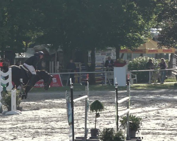 Reitturnier Richelsdorf 2024