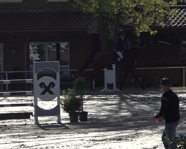 Reitturnier Richelsdorf 2024