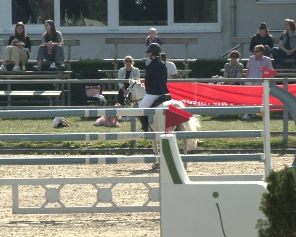 Reitturnier Langenfeld - Gut Langfort 2024