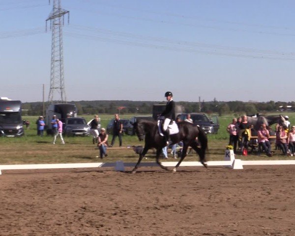 Reitturnier Crivitz 2024