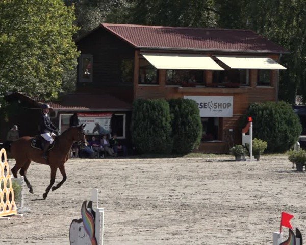 Reitturnier Richelsdorf 2024