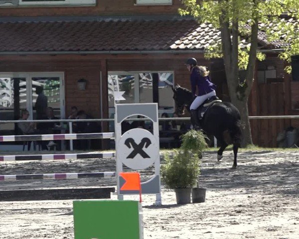 Reitturnier Richelsdorf 2024