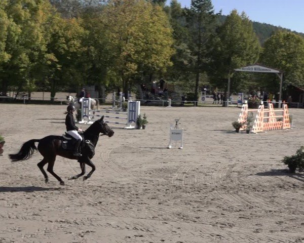 Reitturnier Richelsdorf 2024