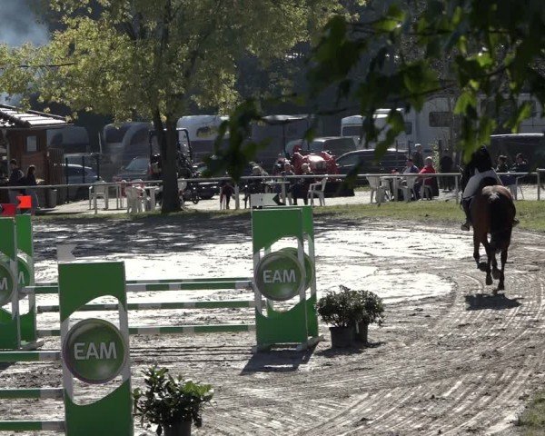 Reitturnier Richelsdorf 2024