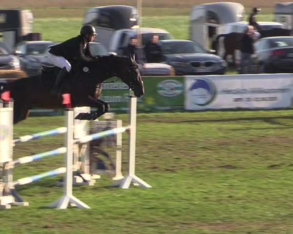 Reitturnier Crivitz 2024