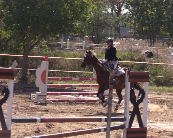 Reitturnier Schenkenhorst 2024