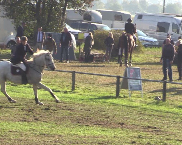 Reitturnier Crivitz 2024