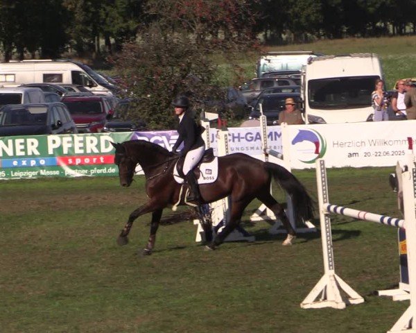 Reitturnier Crivitz 2024