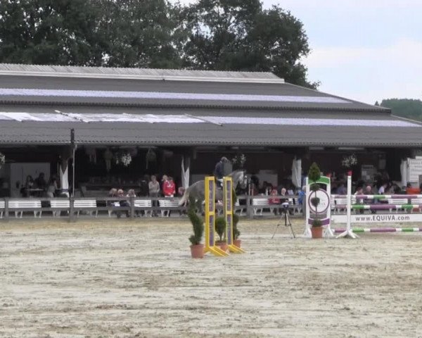 Reit- und Springturnier Münster-Roxel 2013