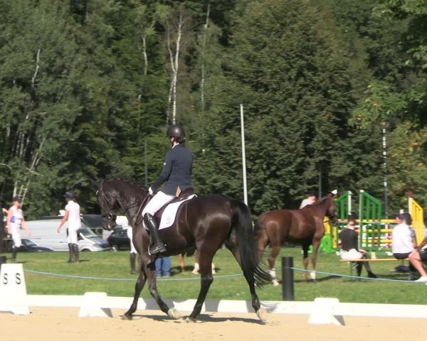Reitturnier Seelitz 2024